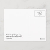 さくらんぼツリーはがき ポストカード (裏面)