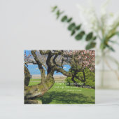 さくらんぼツリーチェロキー諺はがき ポストカード (スタンド正面)