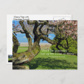 さくらんぼツリーチェロキー諺はがき ポストカード (正面/裏面)