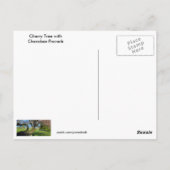 さくらんぼツリーチェロキー諺はがき ポストカード (裏面)