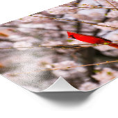 さくらんぼツリーバード フォトプリント            (角)