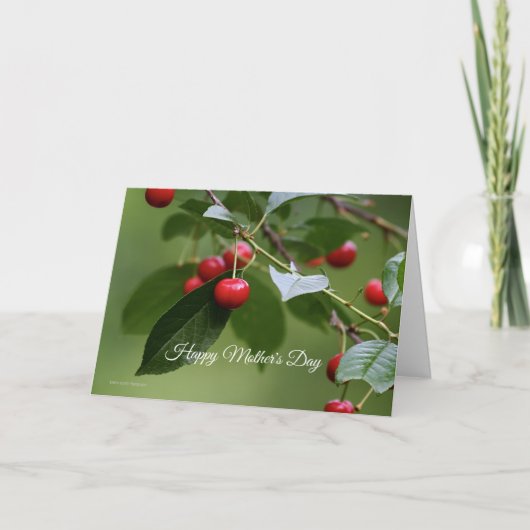 さくらんぼツリーマザーズデイカード カード (正面)