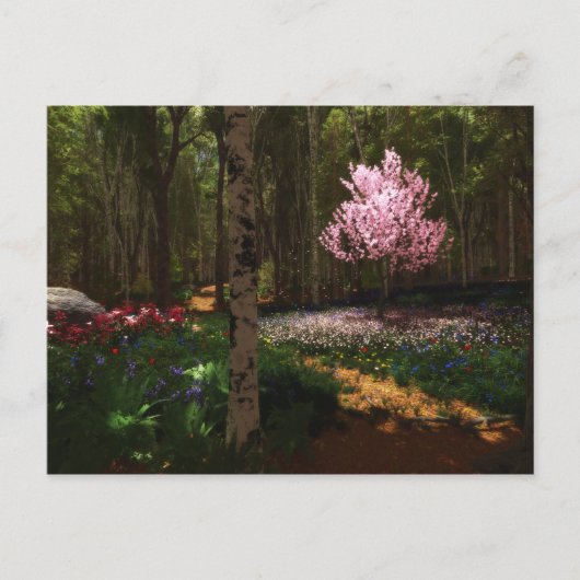 さくらんぼツリー協奏状はがき ポストカード (正面)