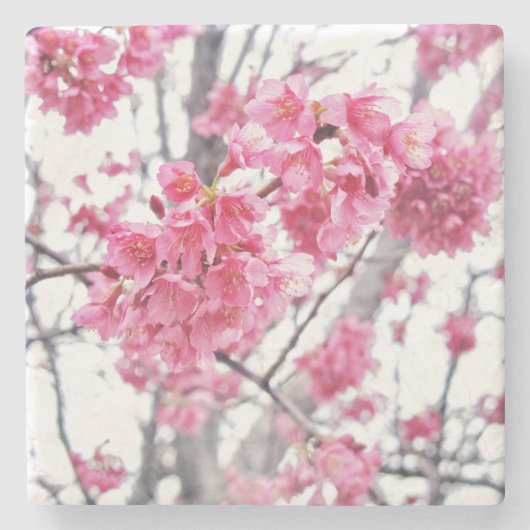 さくらんぼツリー開花 ストーンコースター (正面)
