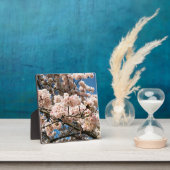 さくらんぼツリー(オレゴン州開花) フォトプラーク (インサイチュ)