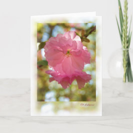 さくらんぼツリー（クワンザン） カード