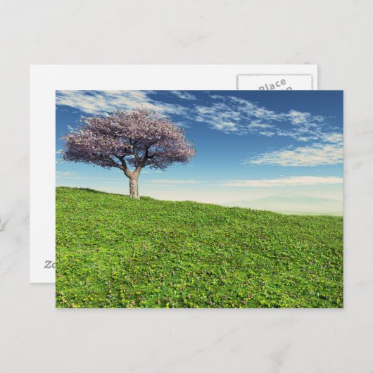 さくらんぼツリー ポストカード (正面/裏面)
