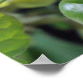 さくらんぼトマトつる植物写真ポスタープリント ポスター (角)