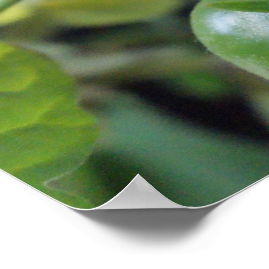 さくらんぼトマトつる植物写真ポスタープリント ポスター (角)