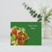 さくらんぼトマトのつる植物自然 ポストカード (スタンド正面)