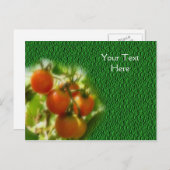 さくらんぼトマトのつる植物自然 ポストカード (正面/裏面)