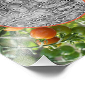 さくらんぼトマトのフレーム独自の8x10を作成 フォトプリント            (角)