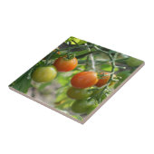 さくらんぼトマトオンつる植物自然 タイル (側面)