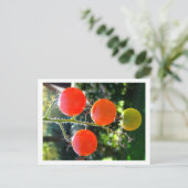 さくらんぼトマトポストカード ポストカード (スタンド正面)