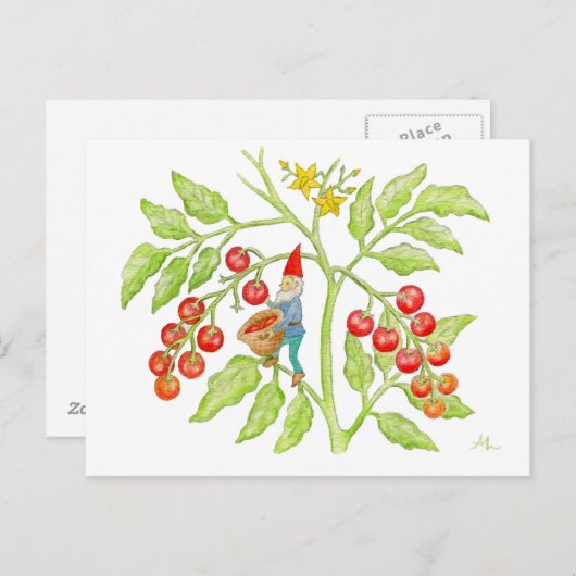 さくらんぼトマト格言葉書 ポストカード (正面/裏面)