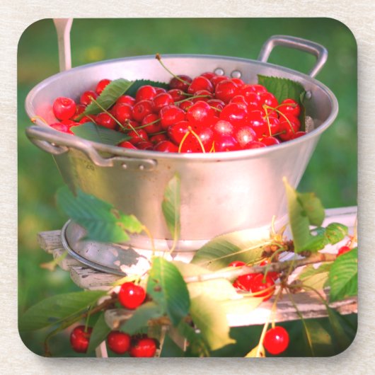 さくらんぼハーベスト、コテージガーデンロザリンデ コースター (正面)