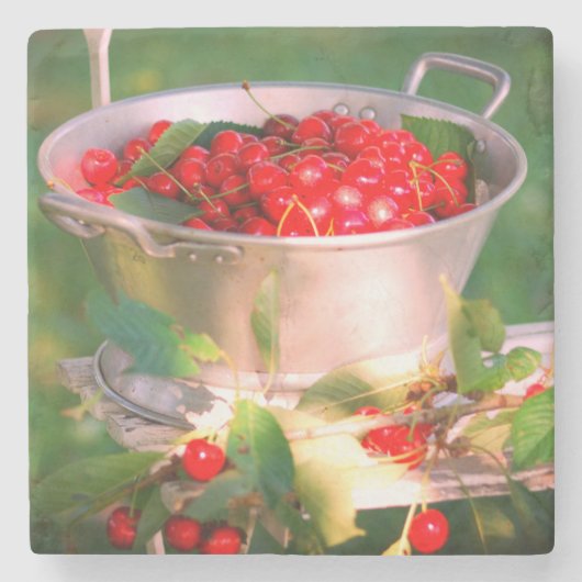 さくらんぼハーベスト、コテージガーデンロザリンデ ストーンコースター (正面)