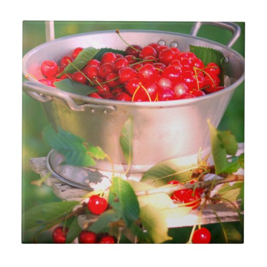 さくらんぼハーベスト、コテージガーデンロザリンデ タイル (正面)