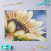 さくらんぼバラひまわり 薄葉紙 (クラフト)