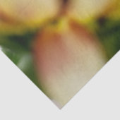 さくらんぼバラひまわり 薄葉紙 (詳細)