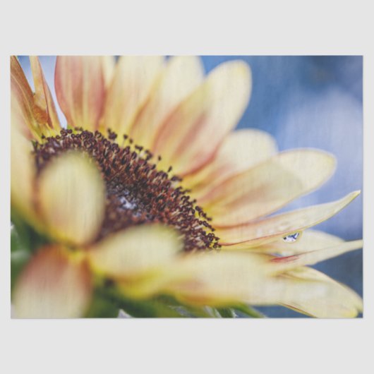 さくらんぼバラひまわり 薄葉紙 (正面)