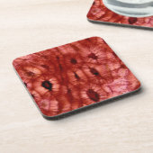 さくらんぼピットからのSclerenchymaの細胞 コースター (左側)