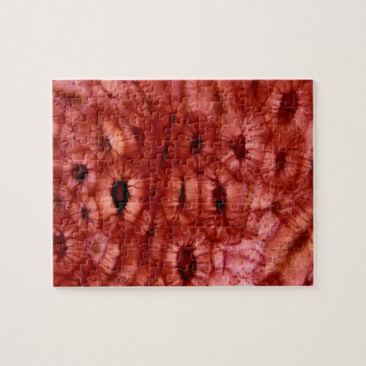 さくらんぼピットからのSclerenchymaの細胞 ジグソーパズル (横)