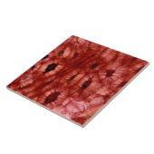 さくらんぼピットからのSclerenchymaの細胞 タイル (側面)