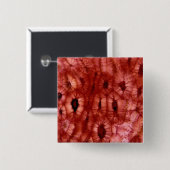 さくらんぼピットからのSclerenchymaの細胞 缶バッジ (正面&裏面)