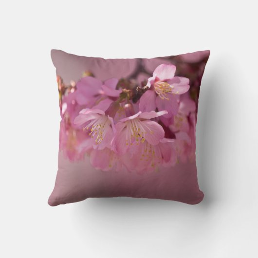 さくらんぼフラズホット春2012装飾用クッション クッション (裏面)