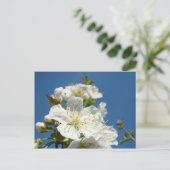 さくらんぼフラップスカードサービスプロモーションイベント ポストカード (スタンド正面)