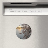 さくらんぼフローズワシントンDC マグネット (インサイチュ (食洗機))