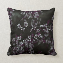 さくらんぼブラッズオンダークプラム