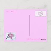 さくらんぼブラッズA ポストカード (裏面)