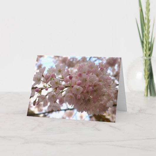 さくらんぼブロッサムカードホワイトブロッサムカードパーソナライズ シーズンカード (正面)