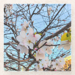 さくらんぼブロッサムコースター ガラスコースター