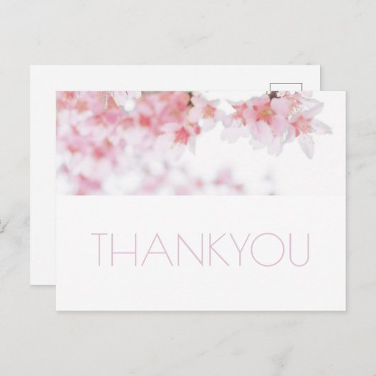 さくらんぼブロッサムサンキポストカード ポストカード (正面/裏面)