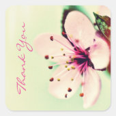 さくらんぼブロッサムサンキュー スクエアシール (正面)