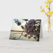 さくらんぼブロッサムサンセットinワシントンDC カード (黄色い花)