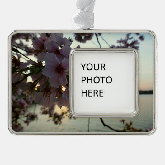 さくらんぼブロッサムサンセットinワシントンDC シルバープレートフレームオーナメント (正面)