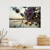 さくらんぼブロッサムサンセットinワシントンDC ポスター (キッチン)