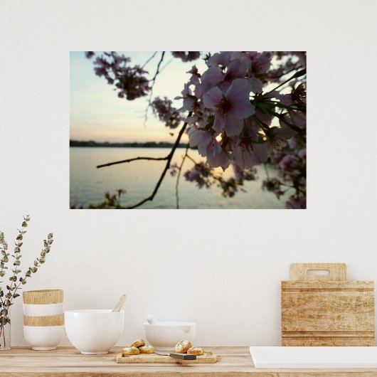 さくらんぼブロッサムサンセットinワシントンDC ポスター (キッチン)