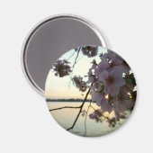 さくらんぼブロッサムサンセットinワシントンDC マグネット (正面/裏面)