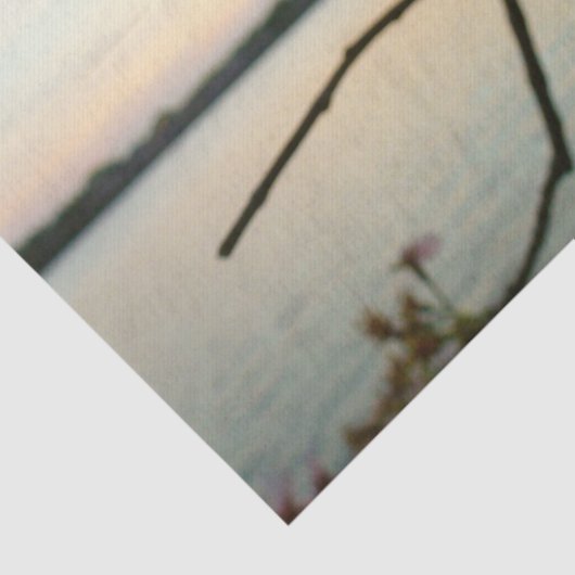 さくらんぼブロッサムサンセットinワシントンDC 薄葉紙 (詳細)