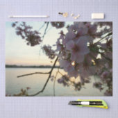 さくらんぼブロッサムサンセットinワシントンDC 薄葉紙 (クラフト)