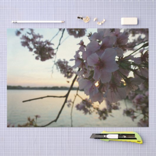 さくらんぼブロッサムサンセットinワシントンDC 薄葉紙 (クラフト)