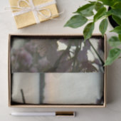 さくらんぼブロッサムサンセットinワシントンDC 薄葉紙 (ギフト)