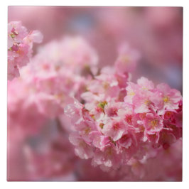 さくらんぼブロッサムジャパンフローラピンクかわいらしユニークサー タイル