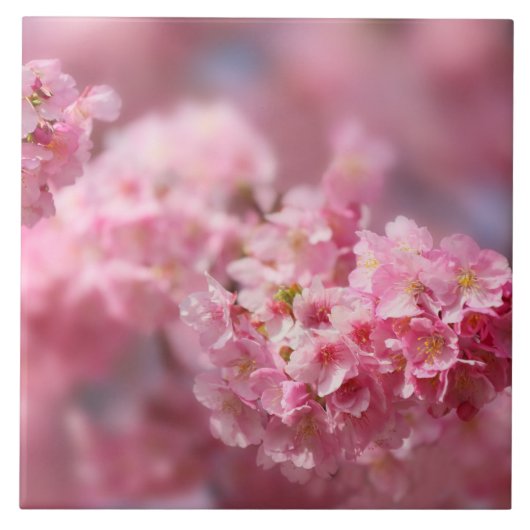 さくらんぼブロッサムジャパンフローラピンクかわいらしユニークサー タイル (正面)