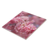 さくらんぼブロッサムジャパンフローラピンクかわいらしユニークサー タイル (側面)